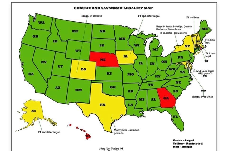 Aije besoin d’un permis pour posséder un Savannah? Chatterie Élite