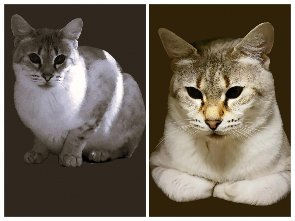 20240323_230525-1-COLLAGE